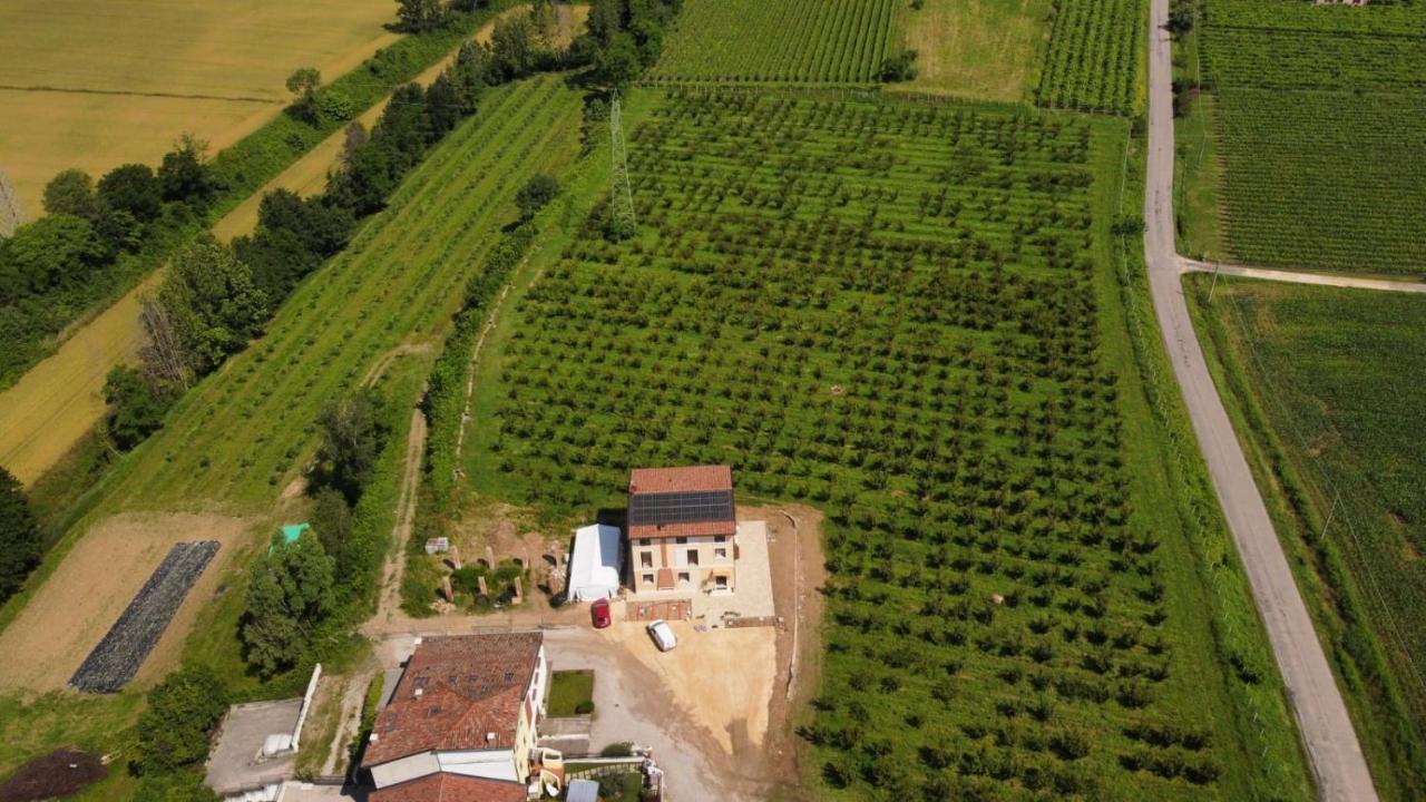 Corte Bottura Agriturismo Castelnuovo del Garda Exterior foto
