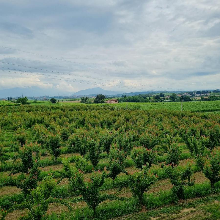 Corte Bottura Agriturismo Castelnuovo del Garda Exterior foto